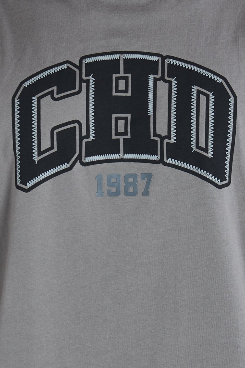 Camiseta oversize estampada CHD Gris | DROP 03 |