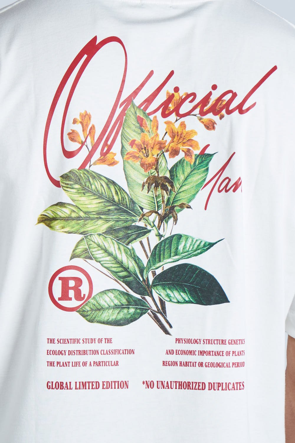 Camiseta oversize estampada Marfil